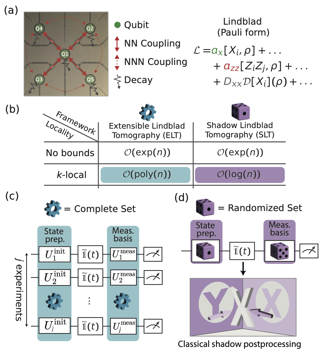 Five-qubit device and comparison of complete and randomized Lindblad tomography, including their measurement sequences and scaling under locality assumptions