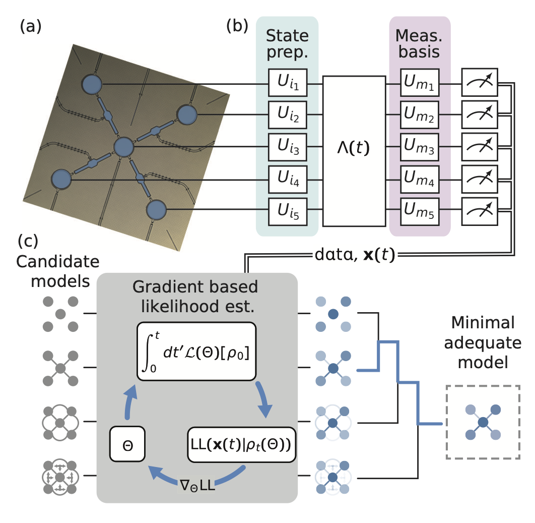 LIMINAL workflow connecting a five-qubit device and tomographic measurements to fitted candidate models and selection of a minimal adequate model