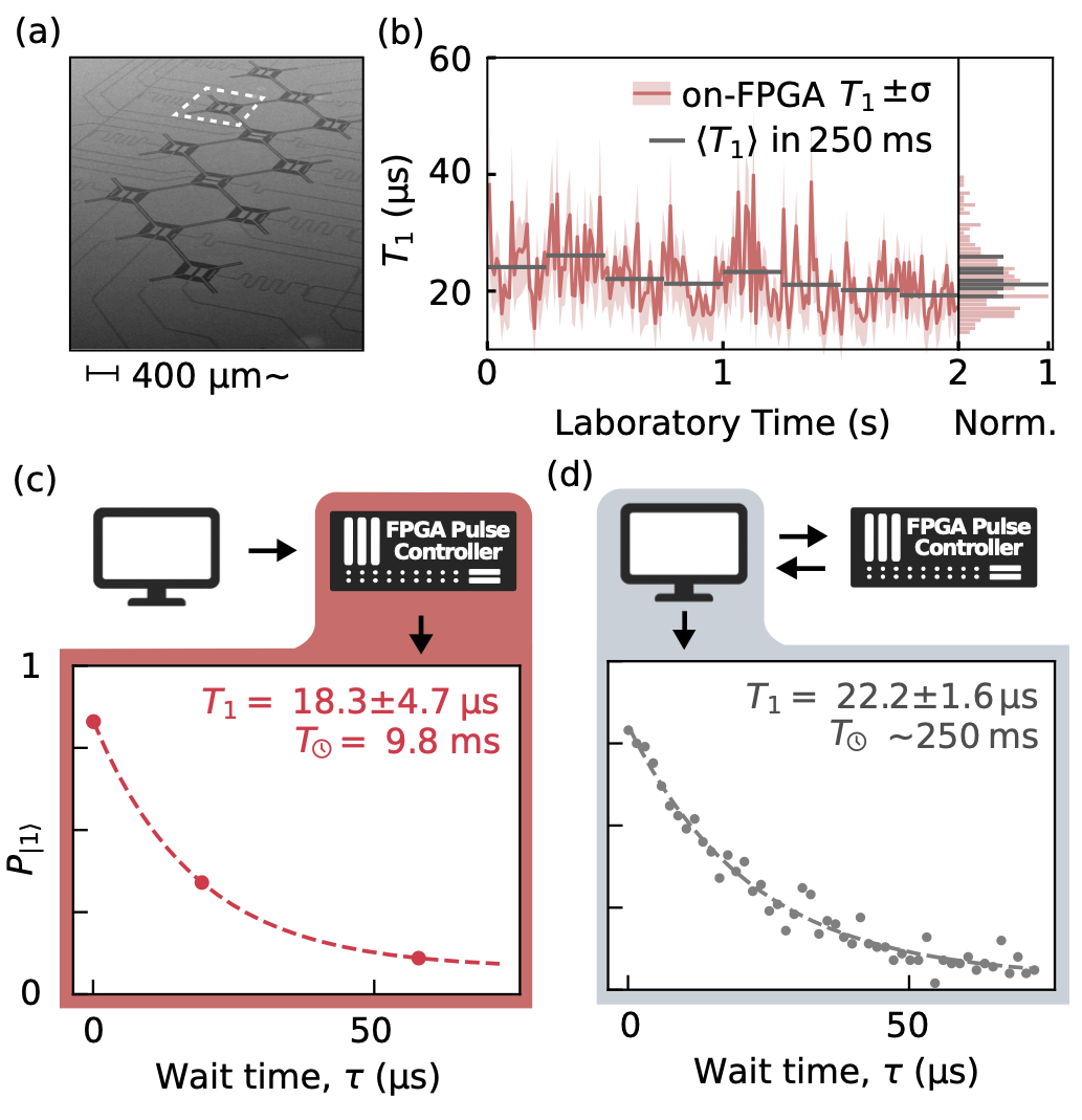 Twelve-qubit device, continuous T1 tracking, and comparison of a 9.8 ms on-FPGA estimate with a roughly 250 ms CPU-offloaded measurement
